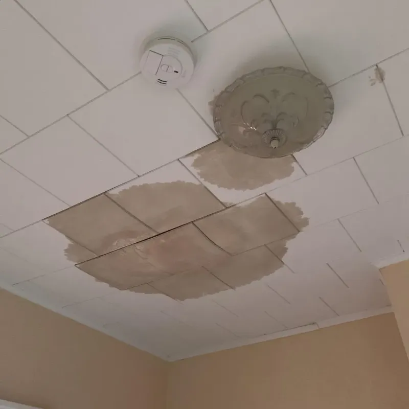 Ceiling Water Damage Repair in Lakewood, OH