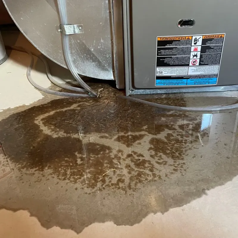 Pipe Burst and Leak Restoration in Lakewood, OH